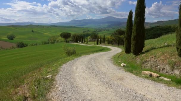 Toskánská Krajina Farmou Cypřiši Slunečného Dne Provincie Siena Itálie — Stock video
