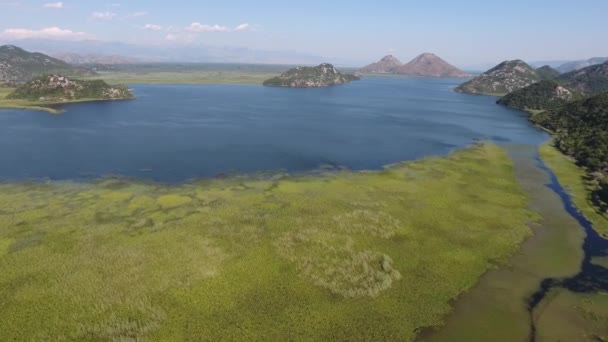 Widok Lotu Ptaka Jezioro Skadar Czarnogórze Latem — Wideo stockowe