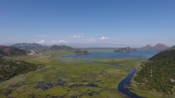 Αεροφωτογραφία Της Λίμνης Skadar Στο Μαυροβούνιο Καλοκαίρι — Αρχείο Βίντεο