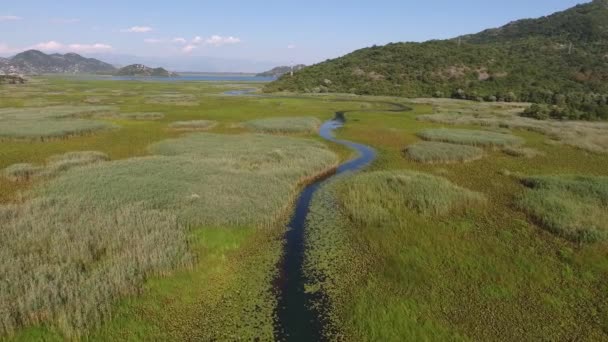 黑山斯卡达尔湖夏季航景 — 图库视频影像
