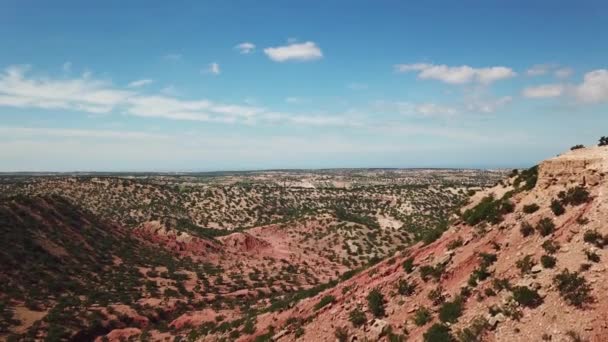 Flygfoto Över Berg Med Arganträd Sin Naturliga Miljö Marocko — Stockvideo