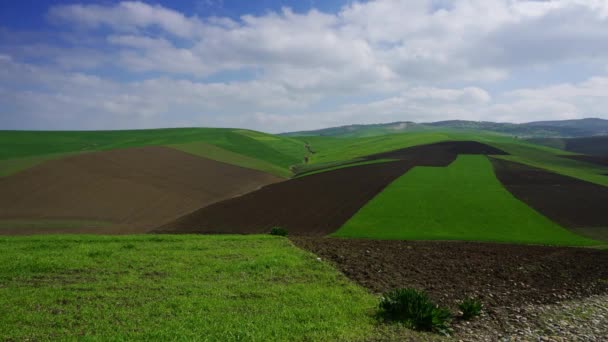Schöne Landschaft Mit Landwirtschaftlichen Feldern Auf Hügeln Marokko Afrika Zeitraffer — Stockvideo