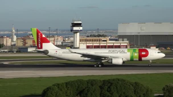 Lisboa Portugal Circa Feb 2019 Avião Airbus A330 Tor Tap — Vídeo de Stock