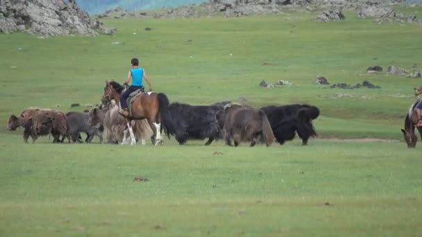 Orkhon Mongolia Circa Jul 2019 Meninos Mongóis Cavalo Rebanho Uma — Vídeo de Stock