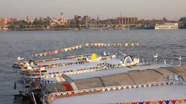 Luxor Egypt Circa Nov 2019 Річка Ніл Човнами Місті Луксор — стокове відео
