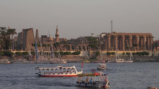 Luxor Egypt Circa Nov 2019 룩소르의 나일강 기슭에 위치한 룩소르 — 비디오