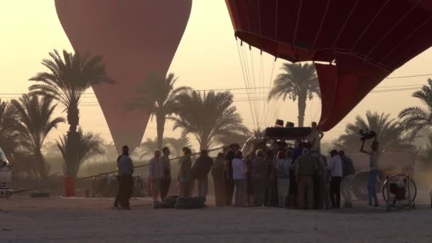 Luxor Egypt Circa Nov 2019 Preparation Hot Air Balloons Flying — Stock Video