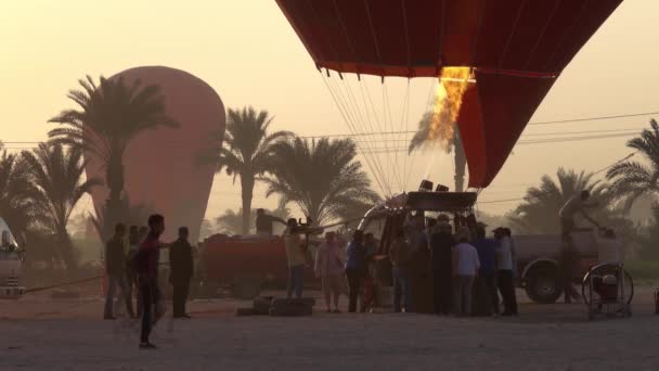 Luxor Egypt Circa Nov 2019 열기구 — 비디오