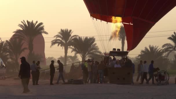 Luxor Egypt Circa Nov 2019 Förberedelse Varmluftsballonger Innan Flygning Vid — Stockvideo