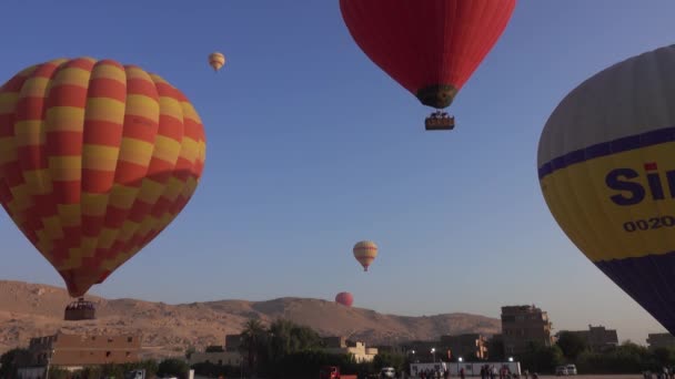 Luxor Egypt Circa Nov 2019 Rozpoczęcie Latania Balonami Ogrzane Powietrze — Wideo stockowe