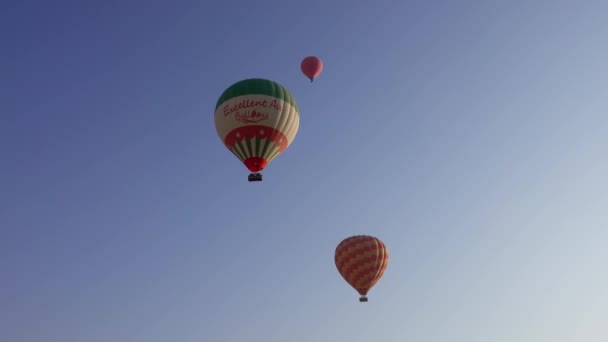 Luxor Egypt Circa Nov 2019 Sıcak Hava Balonları Gündoğumunda Uçmaya — Stok video