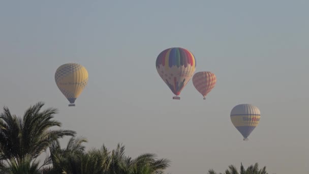 Luxor Egipto Circa Nov 2019 Coloridos Globos Aire Caliente Volando — Vídeo de stock