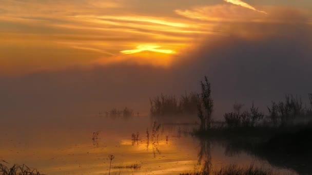Landschaft mit Sonnenaufgang am Fluss im Nebel, Zeitraffer — Stockvideo