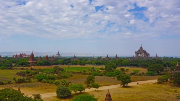 Panorama-Landschaft mit Tempeln in Bagan — Stockvideo