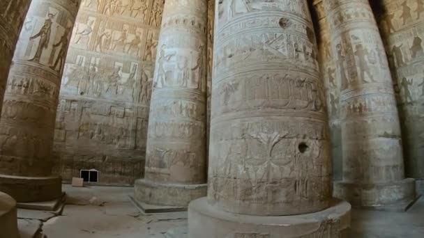 Dendera 'daki Antik Mısır Tapınağı — Stok video