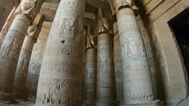 Ancient Egyptian temple in Dendera — Stock Video