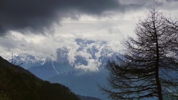 알프스의 구름 풍경 속의 눈덮인 산들 — 비디오