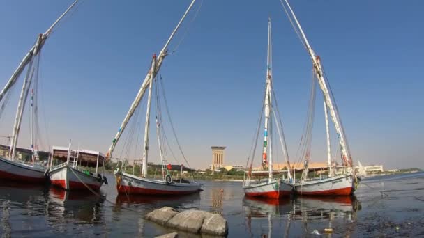 Лодка фелукки на реке Нил — стоковое видео