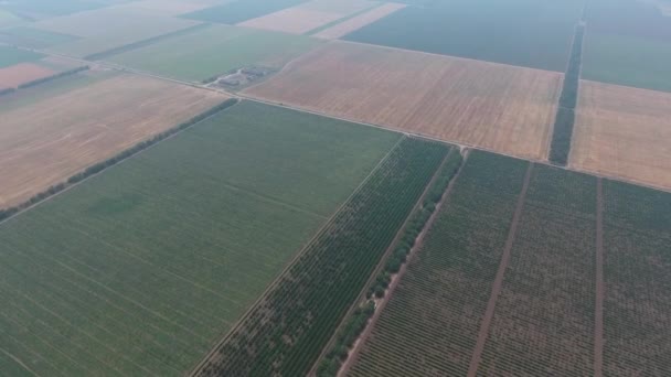 Vue aérienne sur les champs agricoles, Taman, Russie — Video