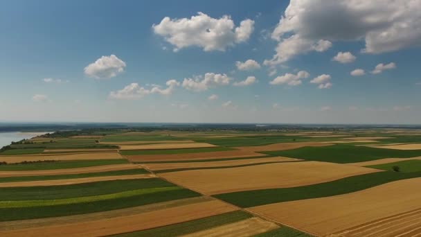 Sırbistan 'da tarlalar ve Tuna Nehri' nin havadan görünüşü — Stok video