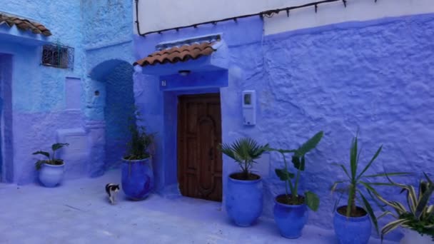Panorama Tradicional Rua Azul Dentro Medina Chefchaouen Marrocos — Vídeo de Stock