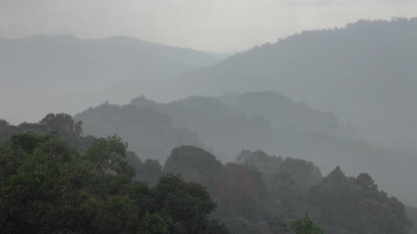 Silný Déšť Asijském Tropickém Pralese — Stock video