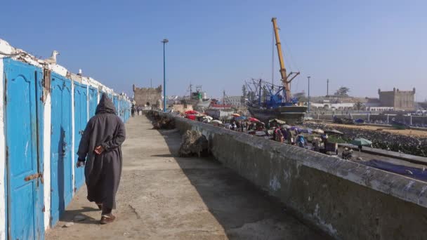 Rybář Kráčející Podél Rybářských Skříněk Přístavu Essaouira Maroko — Stock video