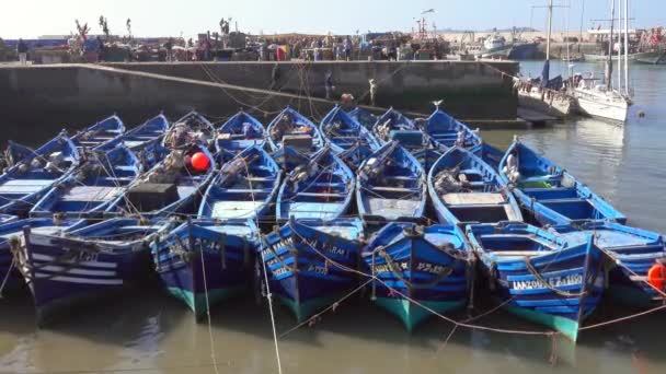 Blauwe Vissersboten Haven Van Essaouira Marokko — Stockvideo