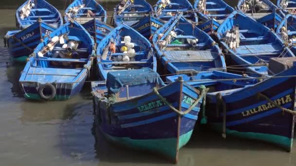 Сині Рибальські Човни Порту Ессуейра Марокко — стокове відео