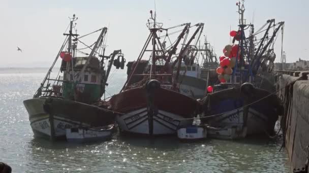 Barcos Pesqueros Puerto Essaouira Marruecos — Vídeo de stock