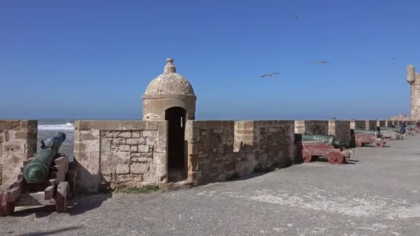 Panorama Pohled Starou Pevnost Kanóny Essaouira Maroko — Stock video