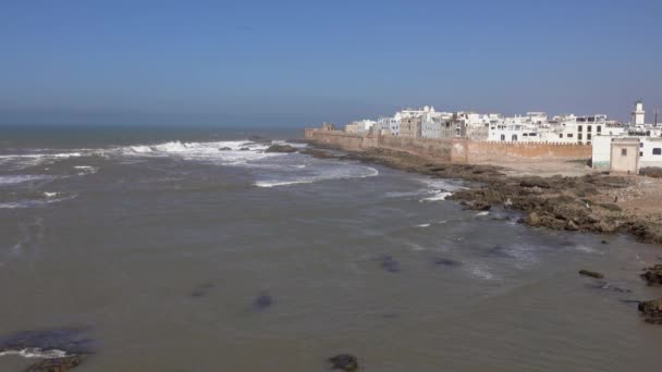 Légi Kilátás Sirályok Felett Essaouira Óváros Atlanti Óceán Partján Marokkó — Stock videók