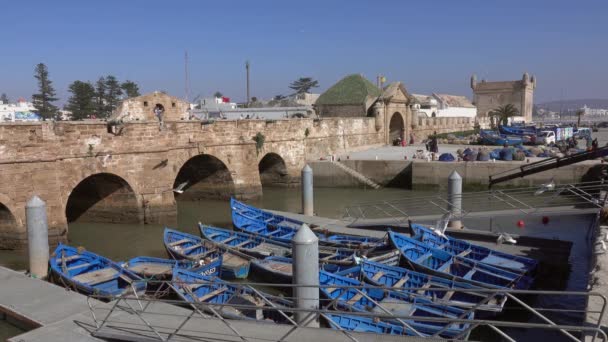 Γαλάζια Αλιευτικά Σκάφη Κοντά Στο Φρούριο Στο Λιμάνι Της Essaouira — Αρχείο Βίντεο