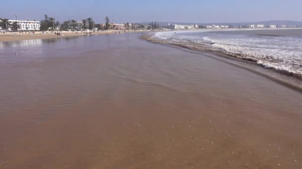 Spiaggia Atlantica Essaouira Marocco Africa — Video Stock