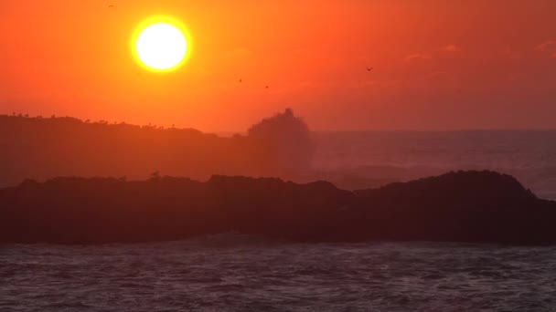 Чайки Кричать Літають Над Скелями Морі Тлі Заходу Сонця — стокове відео
