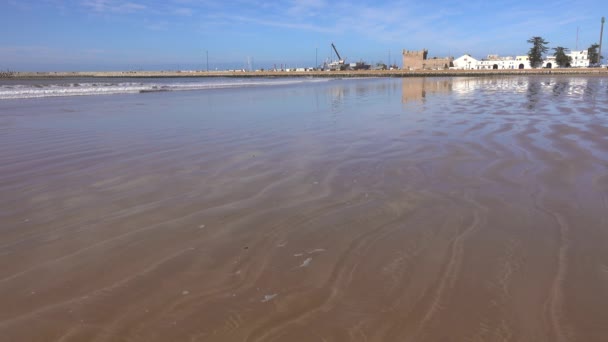 Essaouira Daki Atlantik Plajı Fas Afrika — Stok video