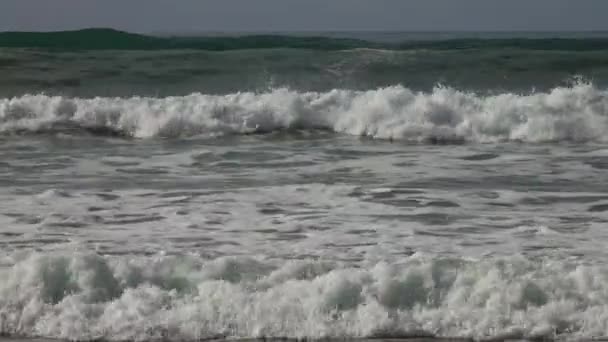 摩洛哥海滩上有大西洋大浪的景观 — 图库视频影像