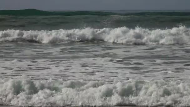 Paysage Avec Grandes Vagues Atlantiques Sur Plage Maroc — Video