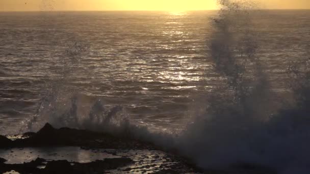 Stor Stormig Havsvåg Vid Solnedgången Slow Motion — Stockvideo