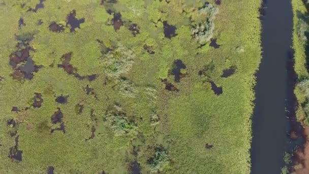 夏にモンテネグロのSkadar湖の空中傾斜ビュー — ストック動画