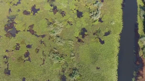 Flygfoto Lutning Utsikt Över Skadar Lake Montenegro Sommaren — Stockvideo