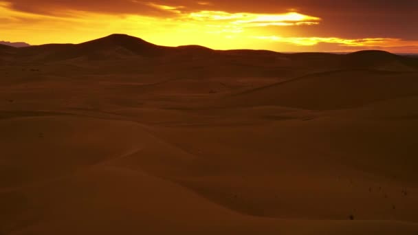 Paisagem Encantadora Deserto Saara Pôr Sol Timelapse — Vídeo de Stock