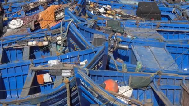 Blue Fishing Boats Port Essaouira Morocco — Stock Video