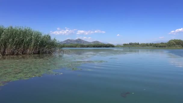 Karadağ Ünlü Skadar Gölü Ndeki Hareketli Tekneden Görüntü — Stok video