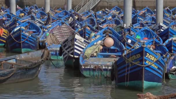 Blå Fiskebåtar Hamnen Essaouira Marocko — Stockvideo