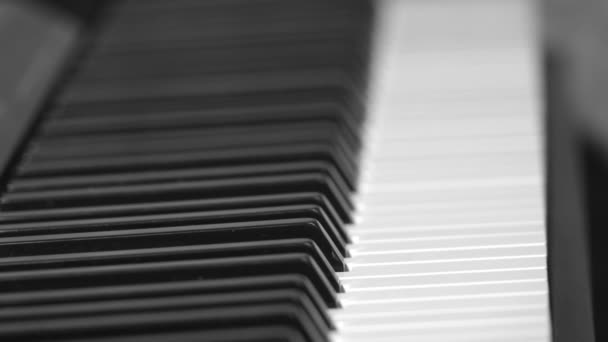 Close View Electric Piano Keys Rack Focus Shot — Stock video