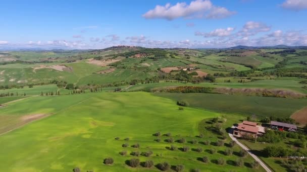 Τοσκάνη Εναέρια Τοπίο Ελαιόδεντρα Της Υπαίθρου Λόφο Αγρόκτημα Ιταλία Ευρώπη — Αρχείο Βίντεο