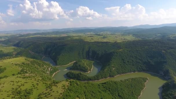 Luftaufnahme Von Mäandern Felsigen Fluss Uvac Sonnigen Tag Südwest Serbien — Stockvideo