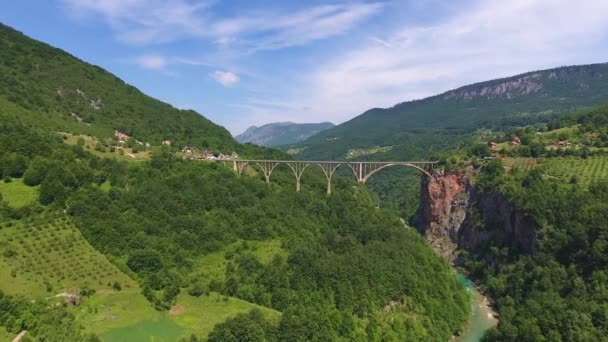 Widok Lotu Ptaka Most Łukowy Djurdjevica Nad Rzeką Tarą Północnej — Wideo stockowe
