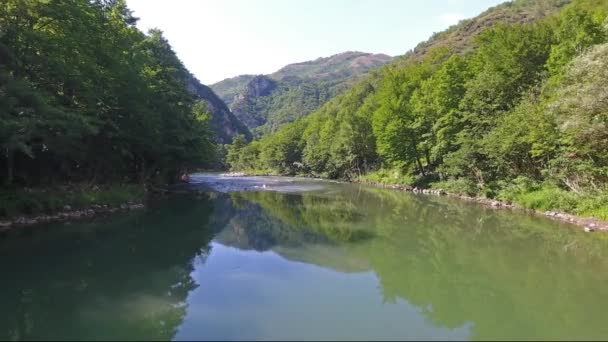 Sommer Über Den Fluss Den Bergen Fliegen Serbien — Stockvideo